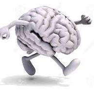 Team Page: Seize The Day